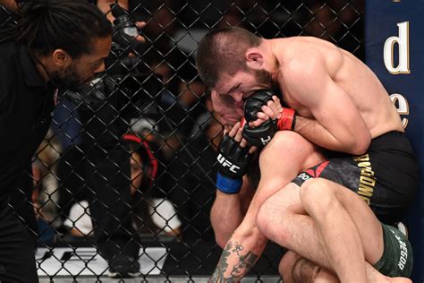 ufc 299|ufc 229 khabib nurmagomedov.